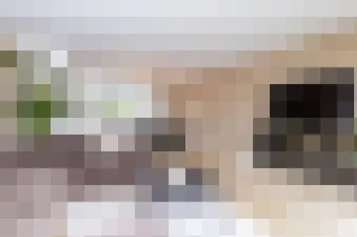 IJsvogel 1 Hoogkarspel thumbnail 7