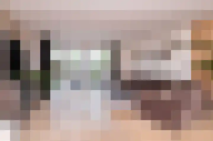 IJsvogel 1 Hoogkarspel thumbnail 8