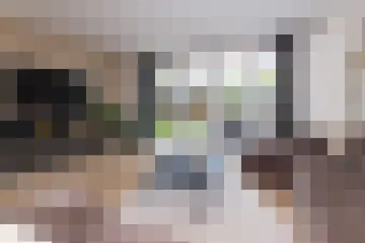 IJsvogel 1 Hoogkarspel thumbnail 9