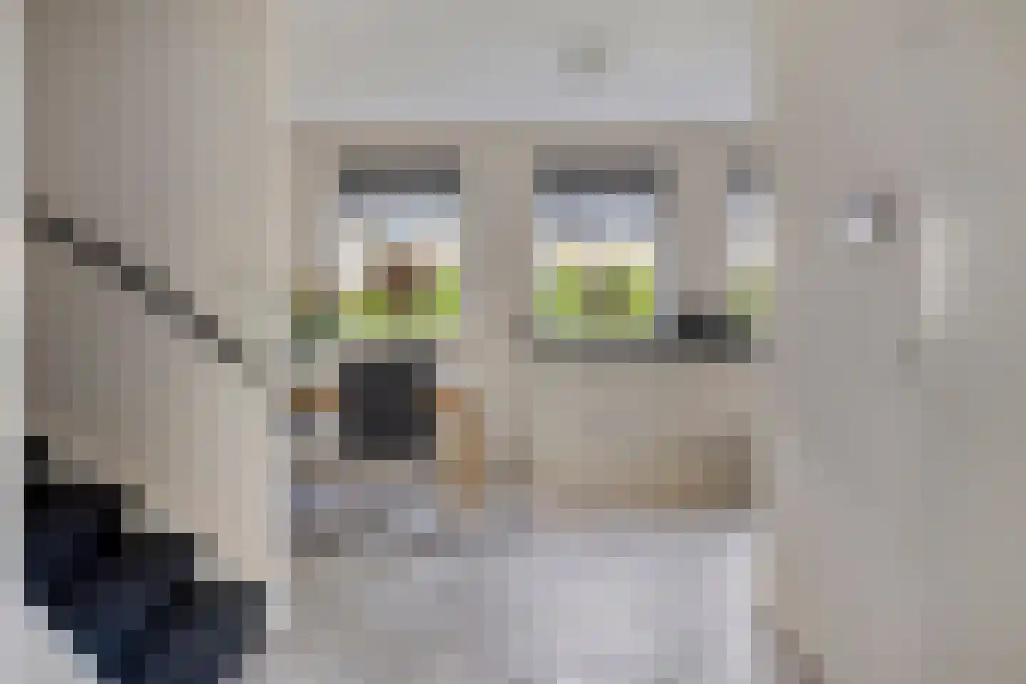IJsvogel 105 Lichtenvoorde thumbnail 11