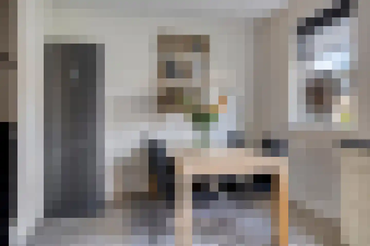 IJsvogel 105 Lichtenvoorde thumbnail 12