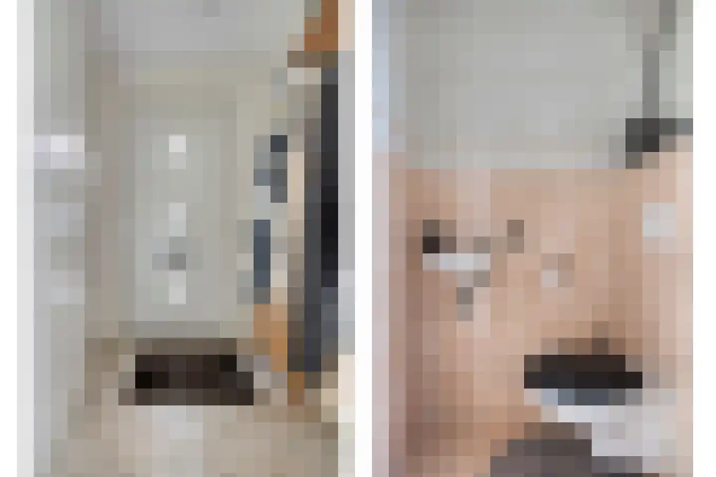 IJsvogel 105 Lichtenvoorde thumbnail 16