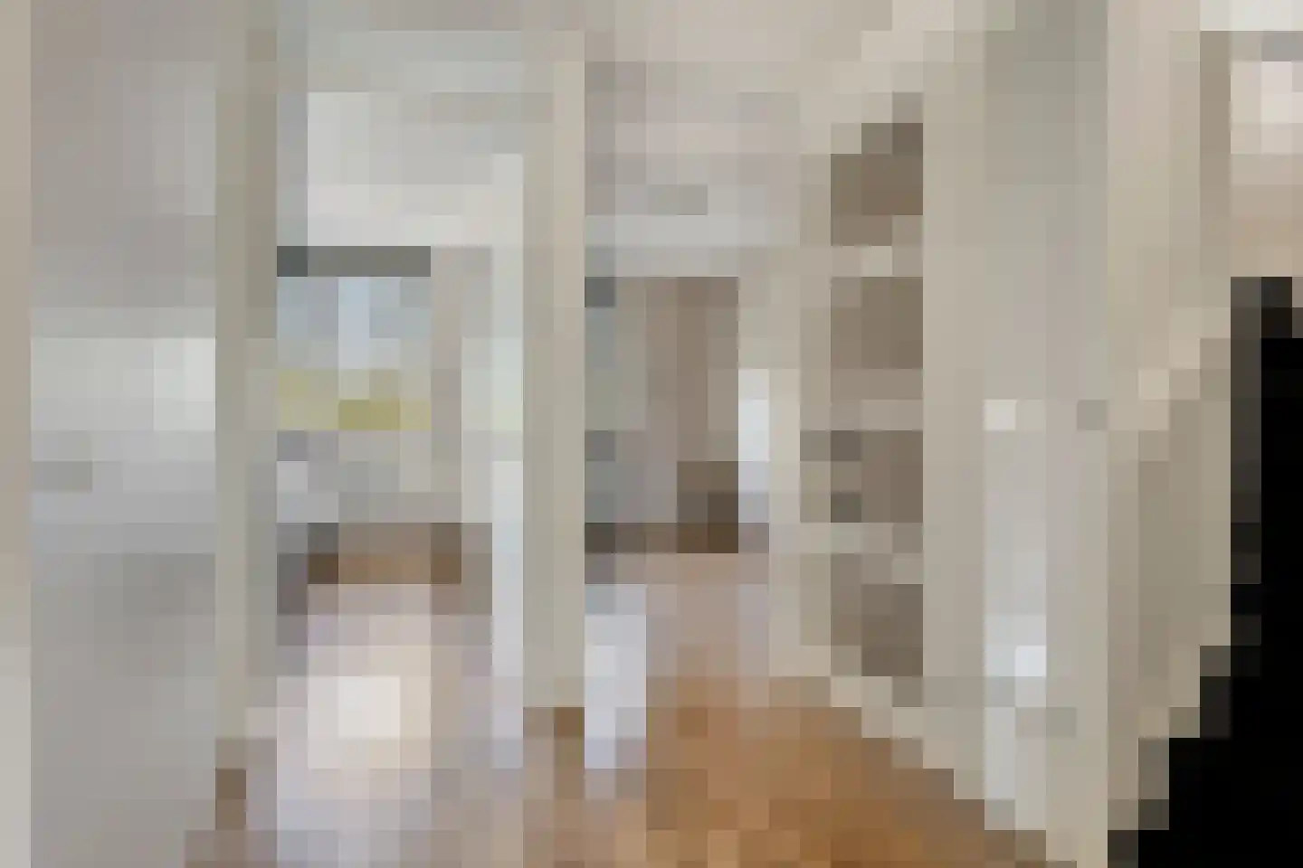 IJsvogel 105 Lichtenvoorde thumbnail 17