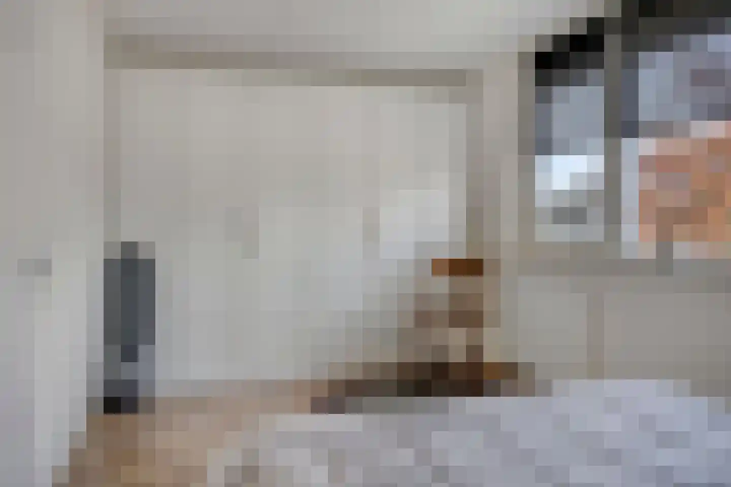 IJsvogel 105 Lichtenvoorde thumbnail 19