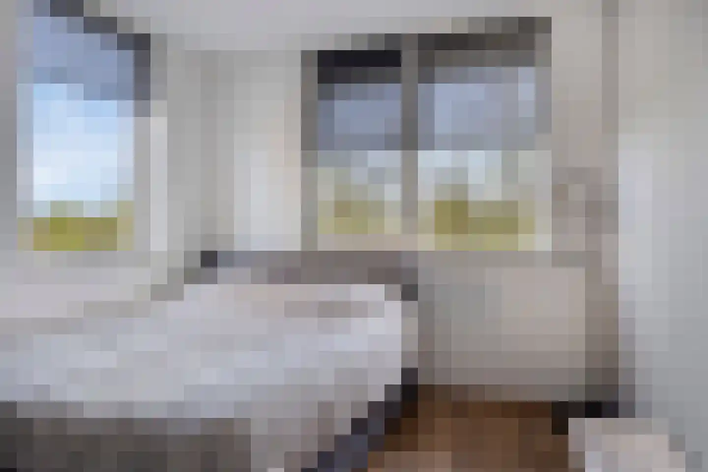 IJsvogel 105 Lichtenvoorde thumbnail 20