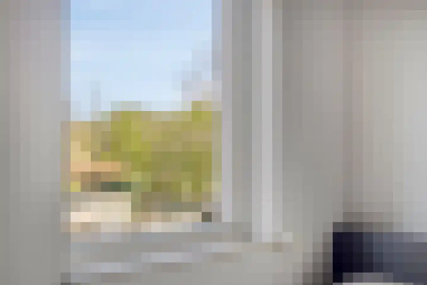 IJsvogel 105 Lichtenvoorde thumbnail 21