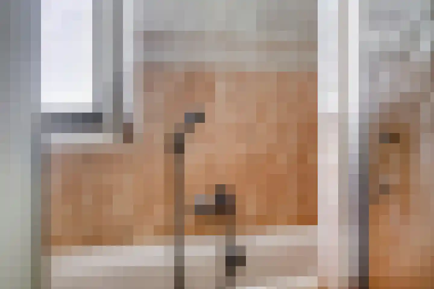 IJsvogel 105 Lichtenvoorde thumbnail 26