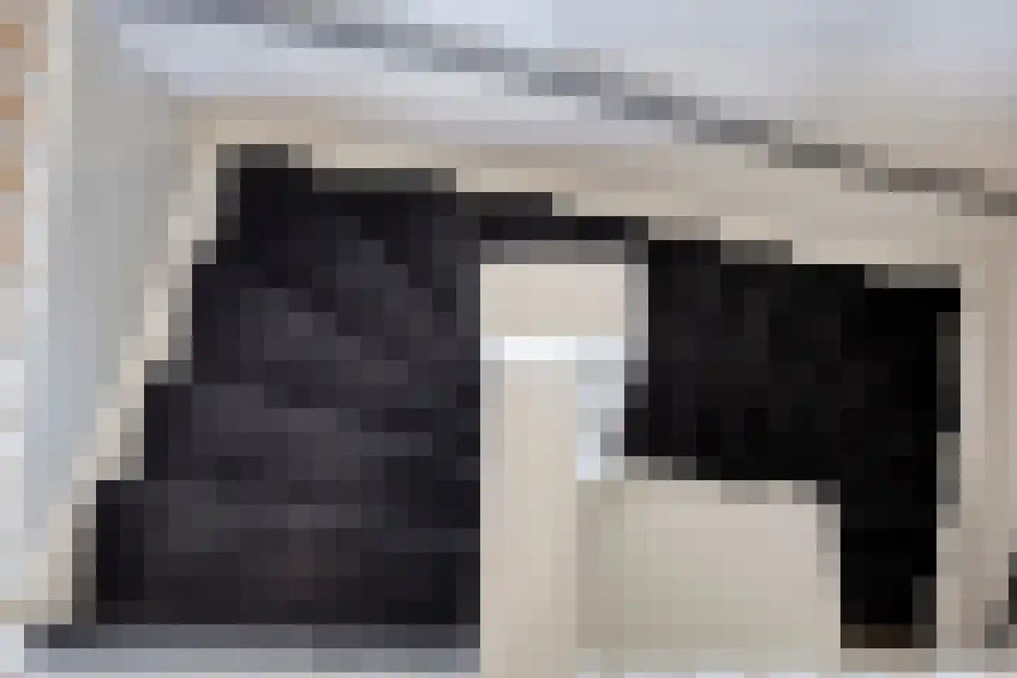 IJsvogel 105 Lichtenvoorde thumbnail 27