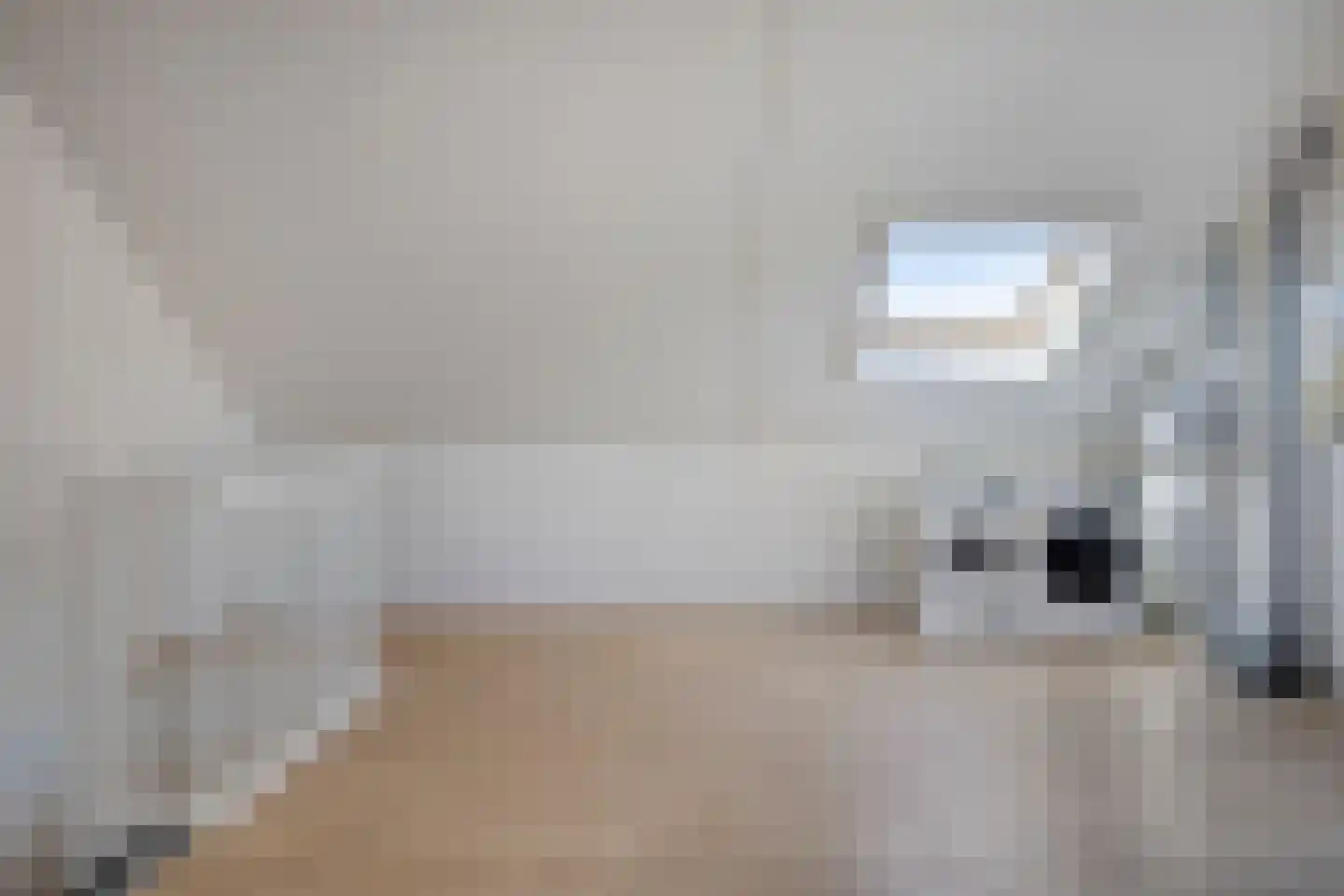 IJsvogel 105 Lichtenvoorde thumbnail 28