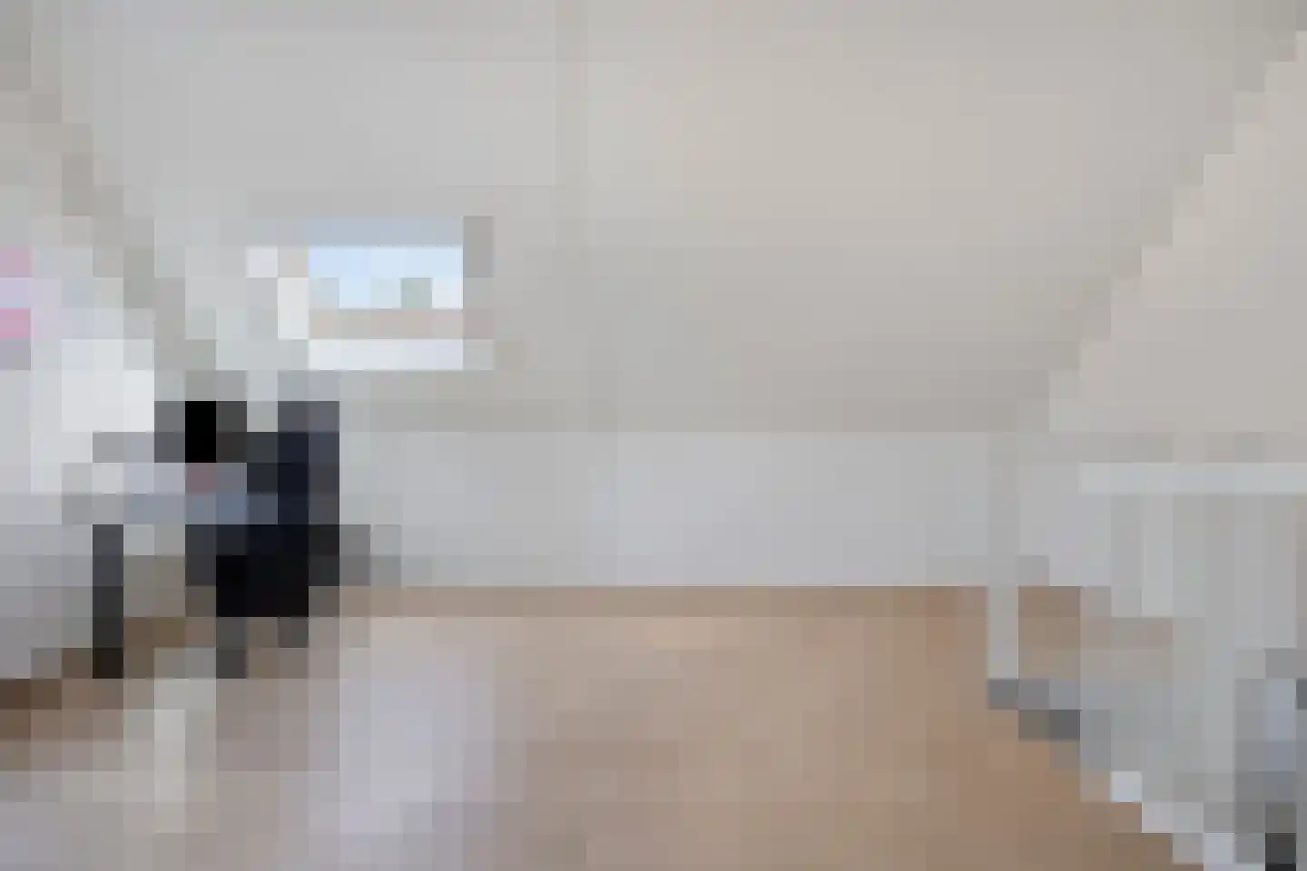 IJsvogel 105 Lichtenvoorde thumbnail 29