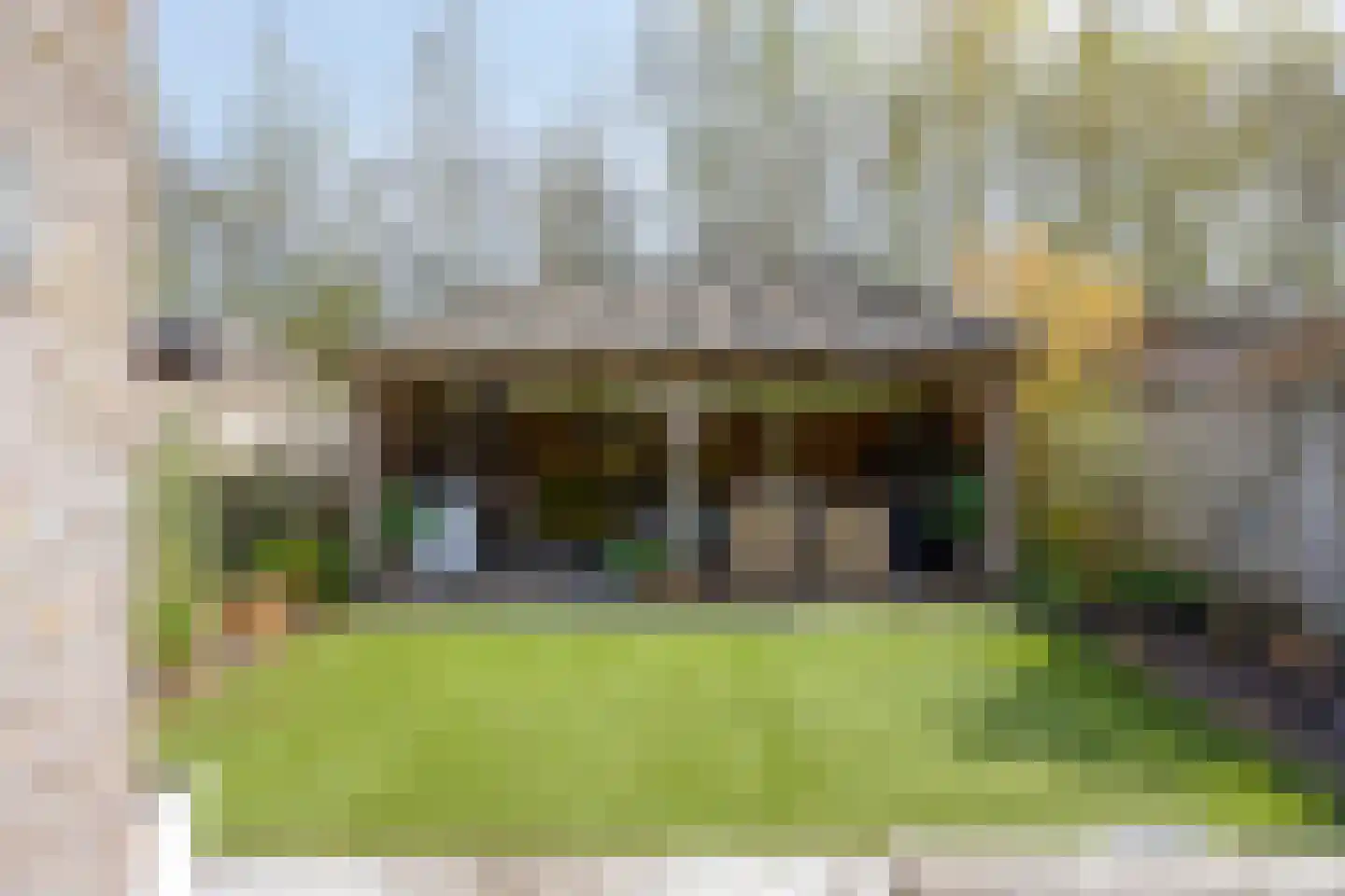 IJsvogel 105 Lichtenvoorde thumbnail 30