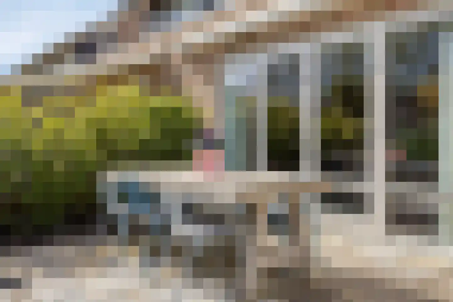 IJsvogel 105 Lichtenvoorde thumbnail 31