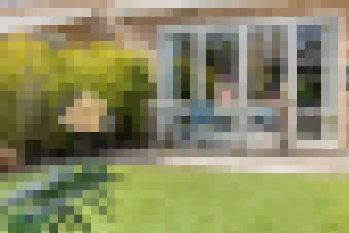 IJsvogel 105 Lichtenvoorde thumbnail 32