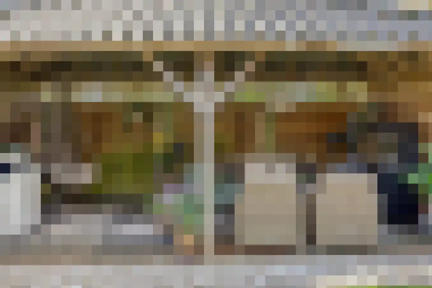 IJsvogel 105 Lichtenvoorde thumbnail 34