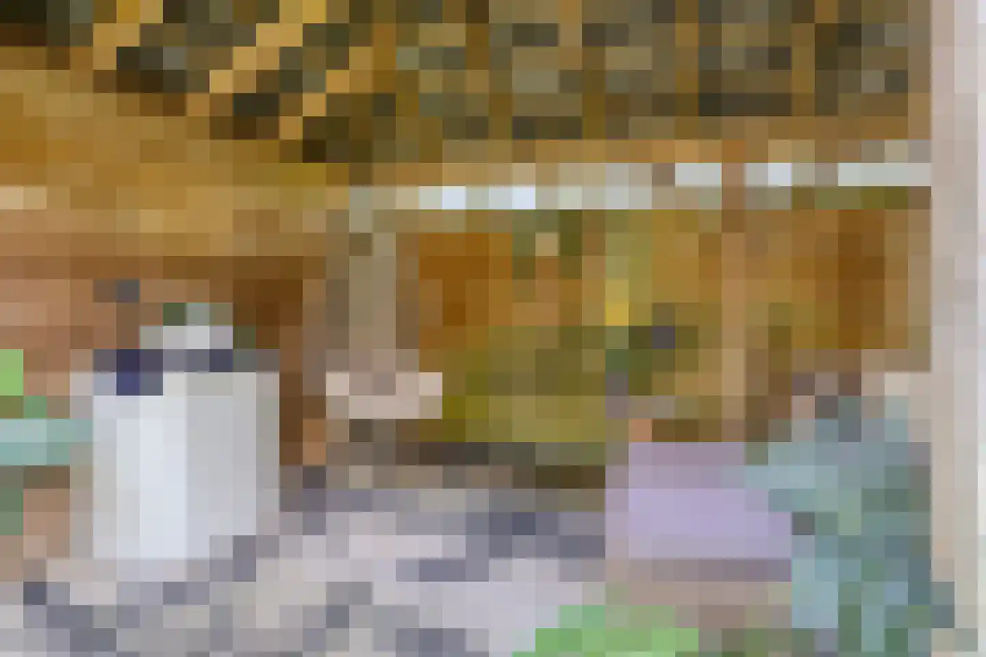 IJsvogel 105 Lichtenvoorde thumbnail 36