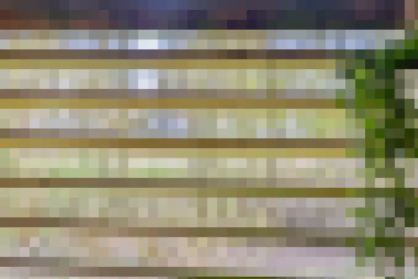 IJsvogel 105 Lichtenvoorde thumbnail 37