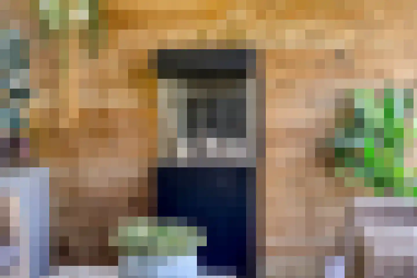 IJsvogel 105 Lichtenvoorde thumbnail 38