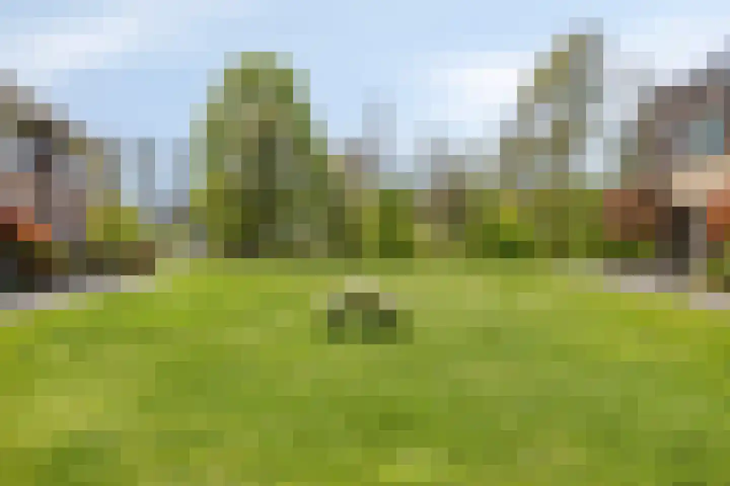 IJsvogel 105 Lichtenvoorde thumbnail 39