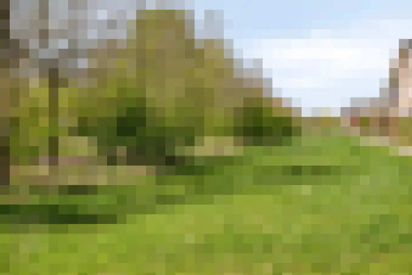 IJsvogel 105 Lichtenvoorde thumbnail 40