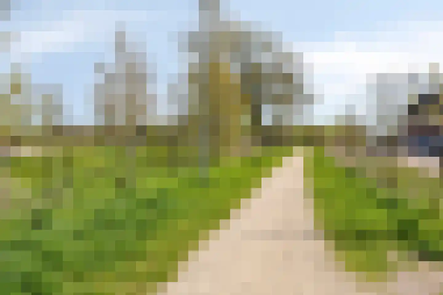 IJsvogel 105 Lichtenvoorde thumbnail 41