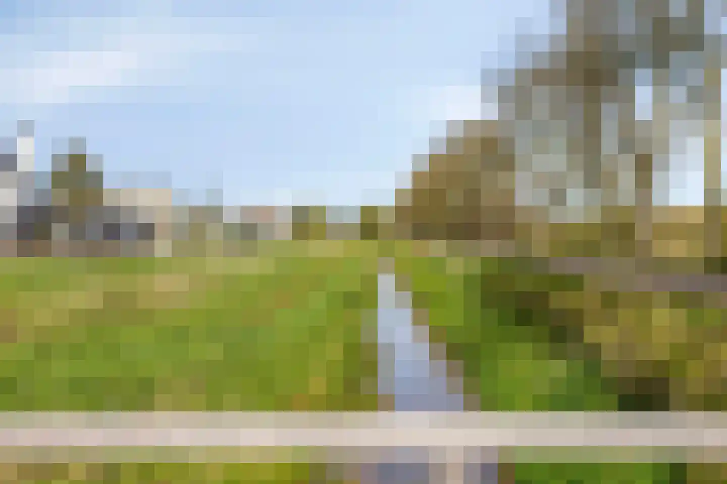 IJsvogel 105 Lichtenvoorde thumbnail 42