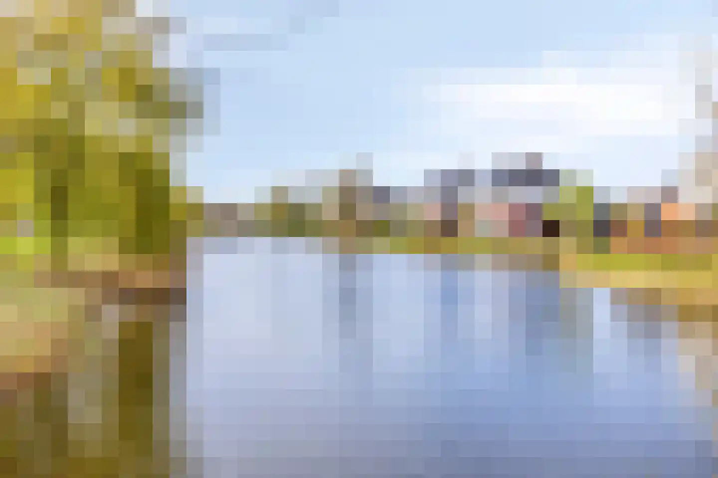 IJsvogel 105 Lichtenvoorde thumbnail 43