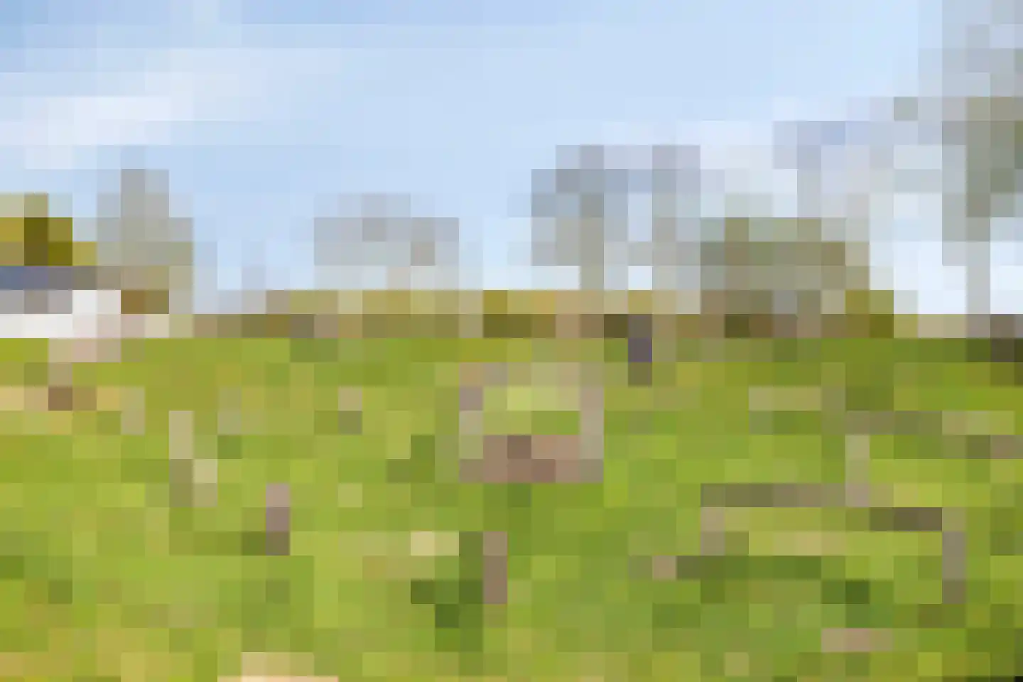 IJsvogel 105 Lichtenvoorde thumbnail 44
