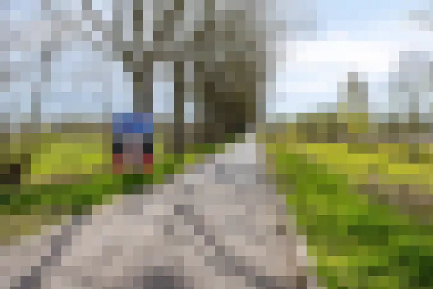 IJsvogel 105 Lichtenvoorde thumbnail 45