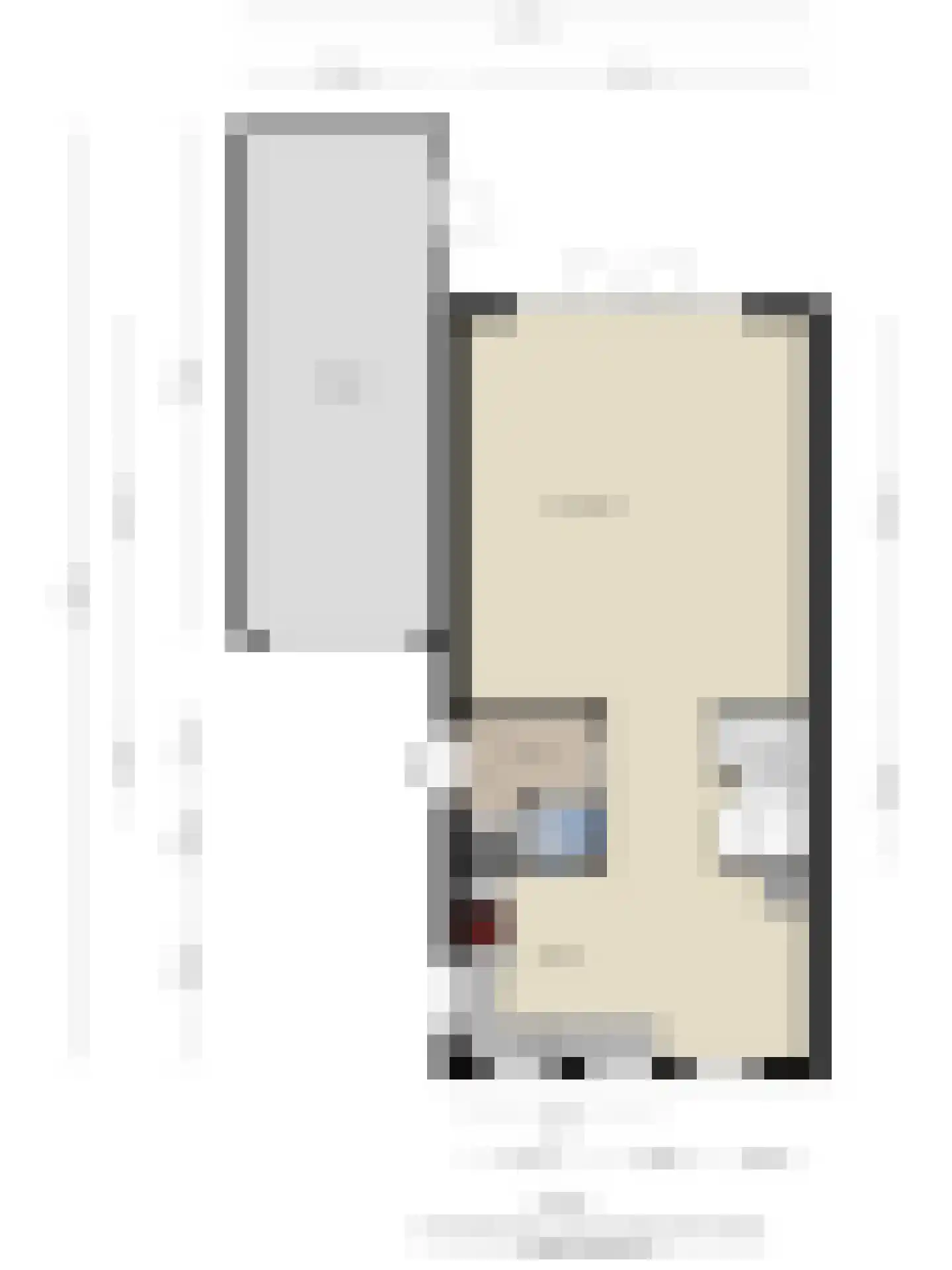 IJsvogel 105 Lichtenvoorde thumbnail 46