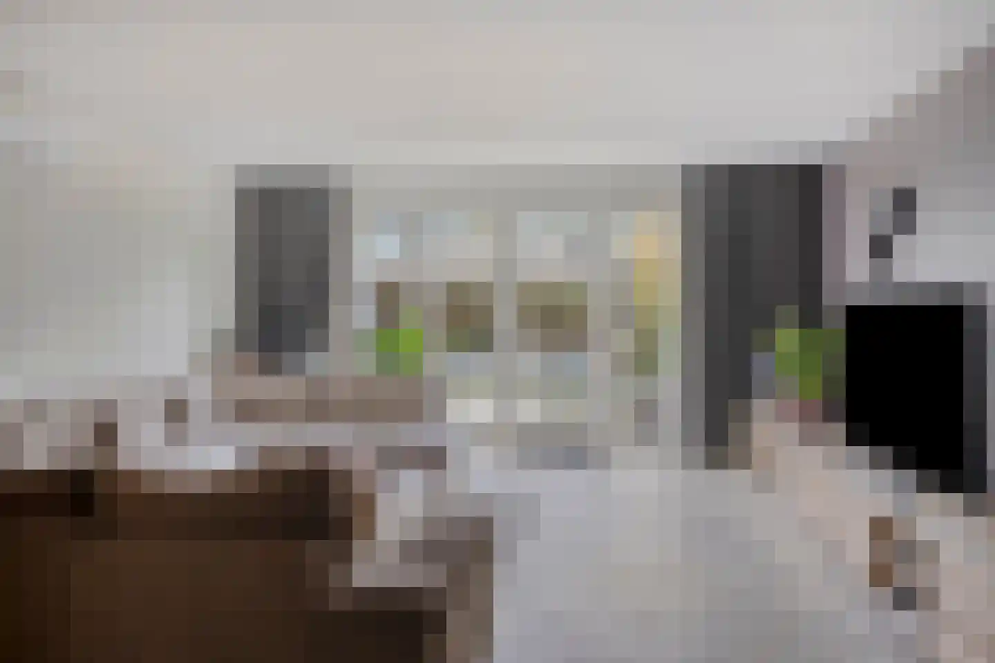 IJsvogel 105 Lichtenvoorde thumbnail 6