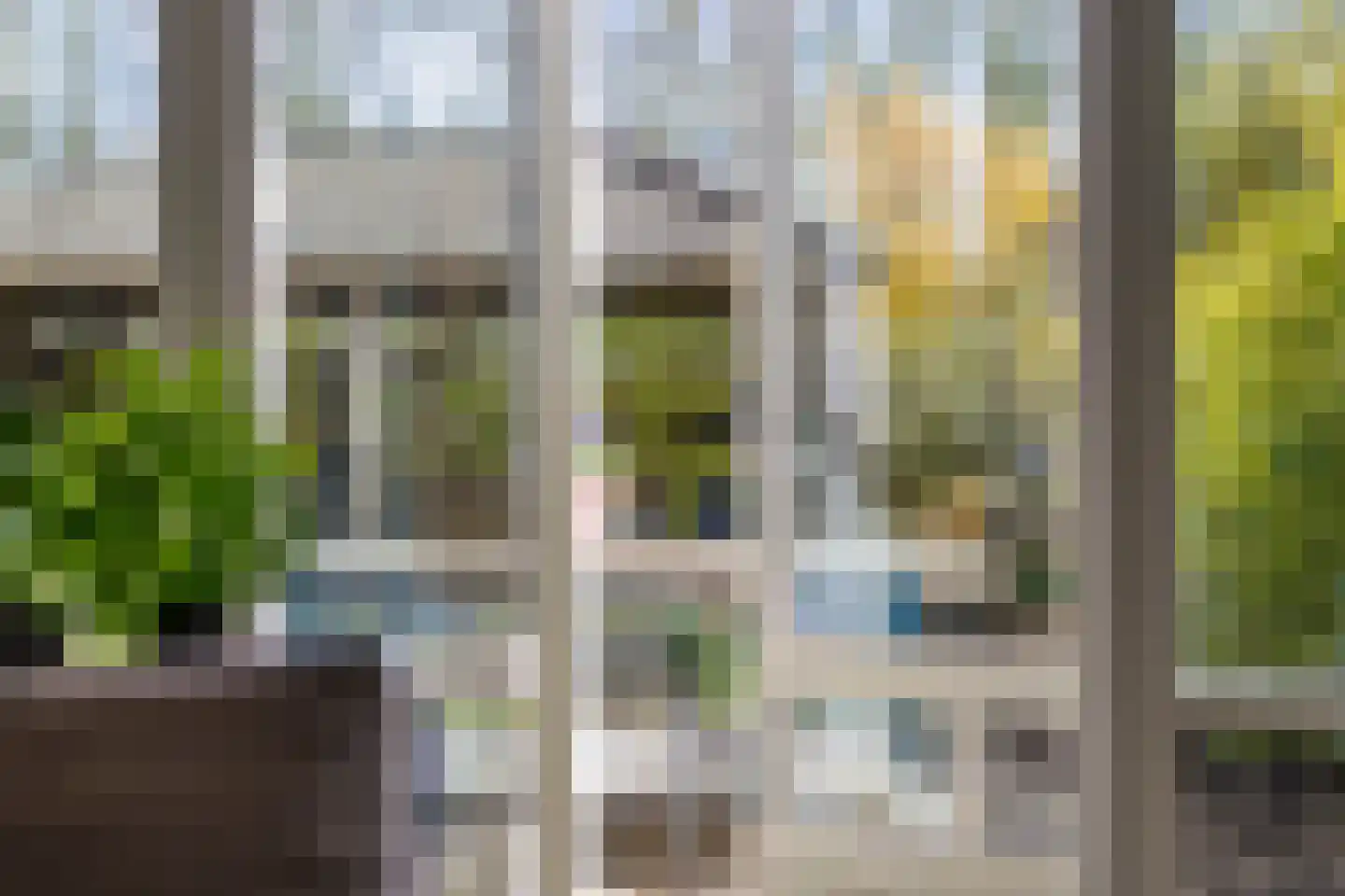 IJsvogel 105 Lichtenvoorde thumbnail 7