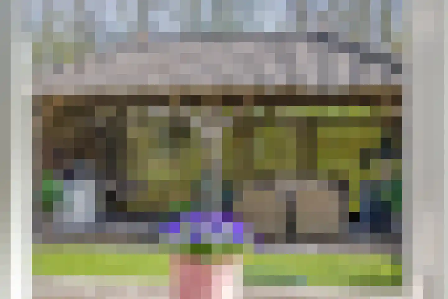 IJsvogel 105 Lichtenvoorde thumbnail 8