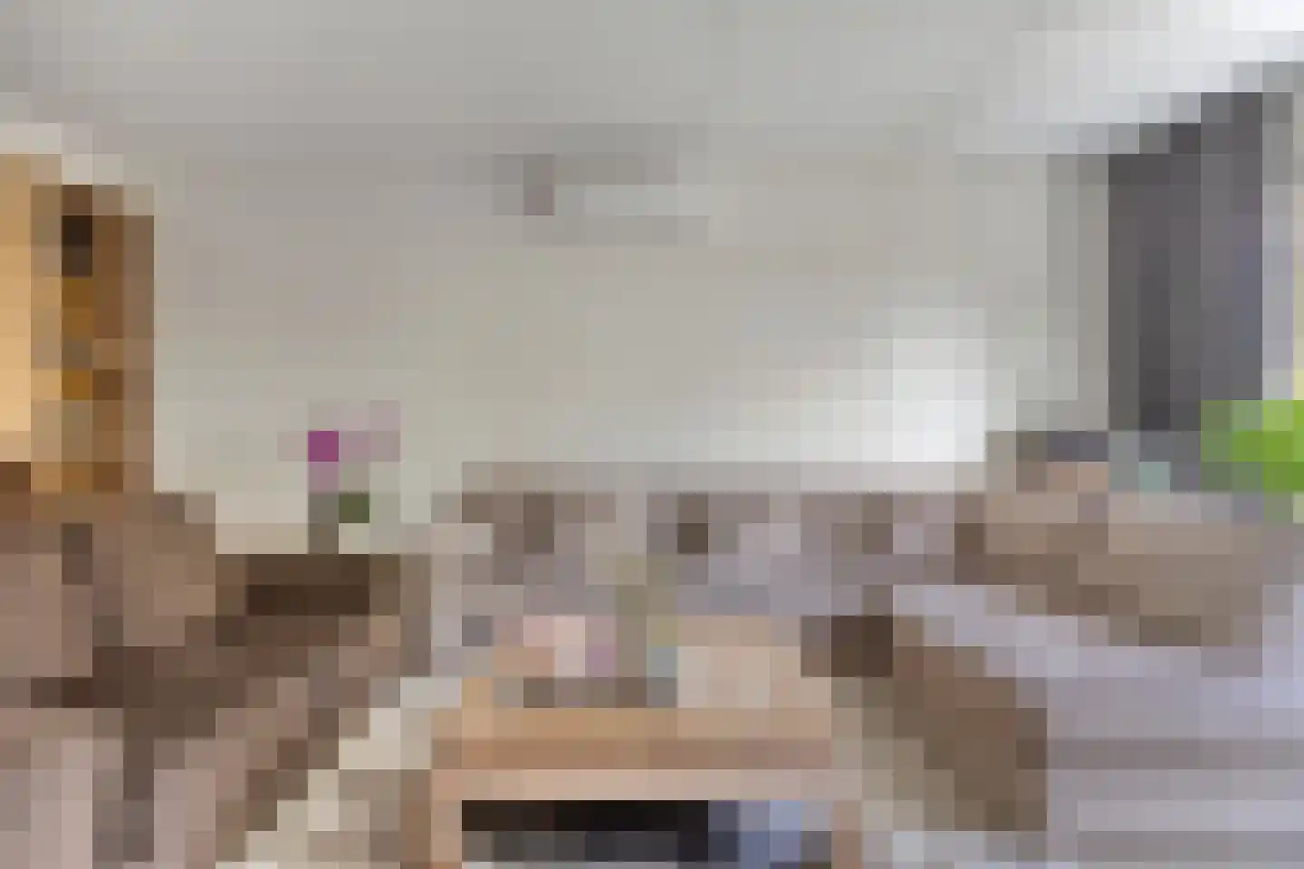 IJsvogel 105 Lichtenvoorde thumbnail 9