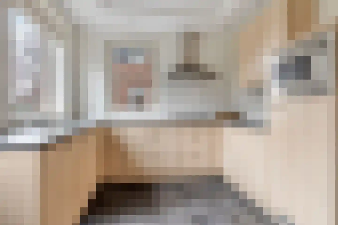 IJsvogel 109 Lichtenvoorde thumbnail 12