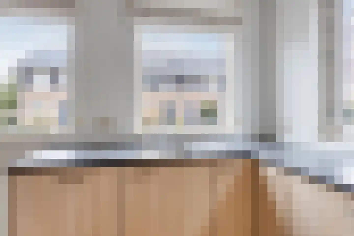 IJsvogel 109 Lichtenvoorde thumbnail 13