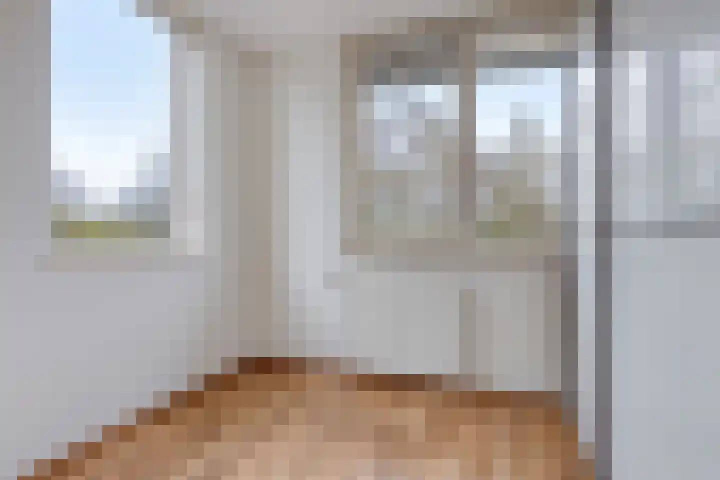 IJsvogel 109 Lichtenvoorde thumbnail 19