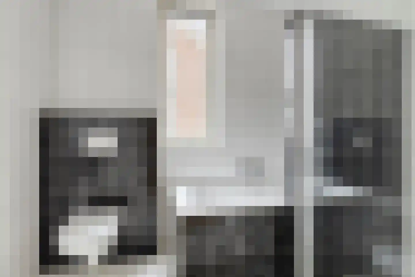 IJsvogel 109 Lichtenvoorde thumbnail 20