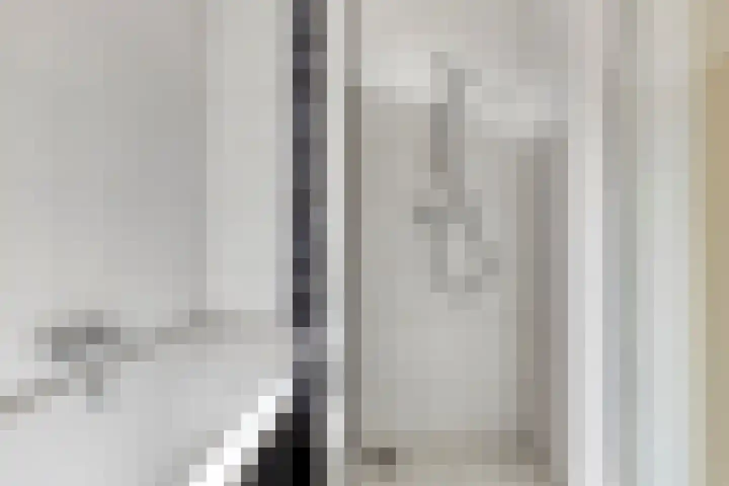 IJsvogel 109 Lichtenvoorde thumbnail 21
