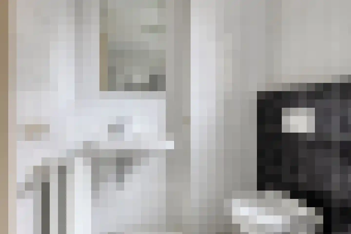 IJsvogel 109 Lichtenvoorde thumbnail 22