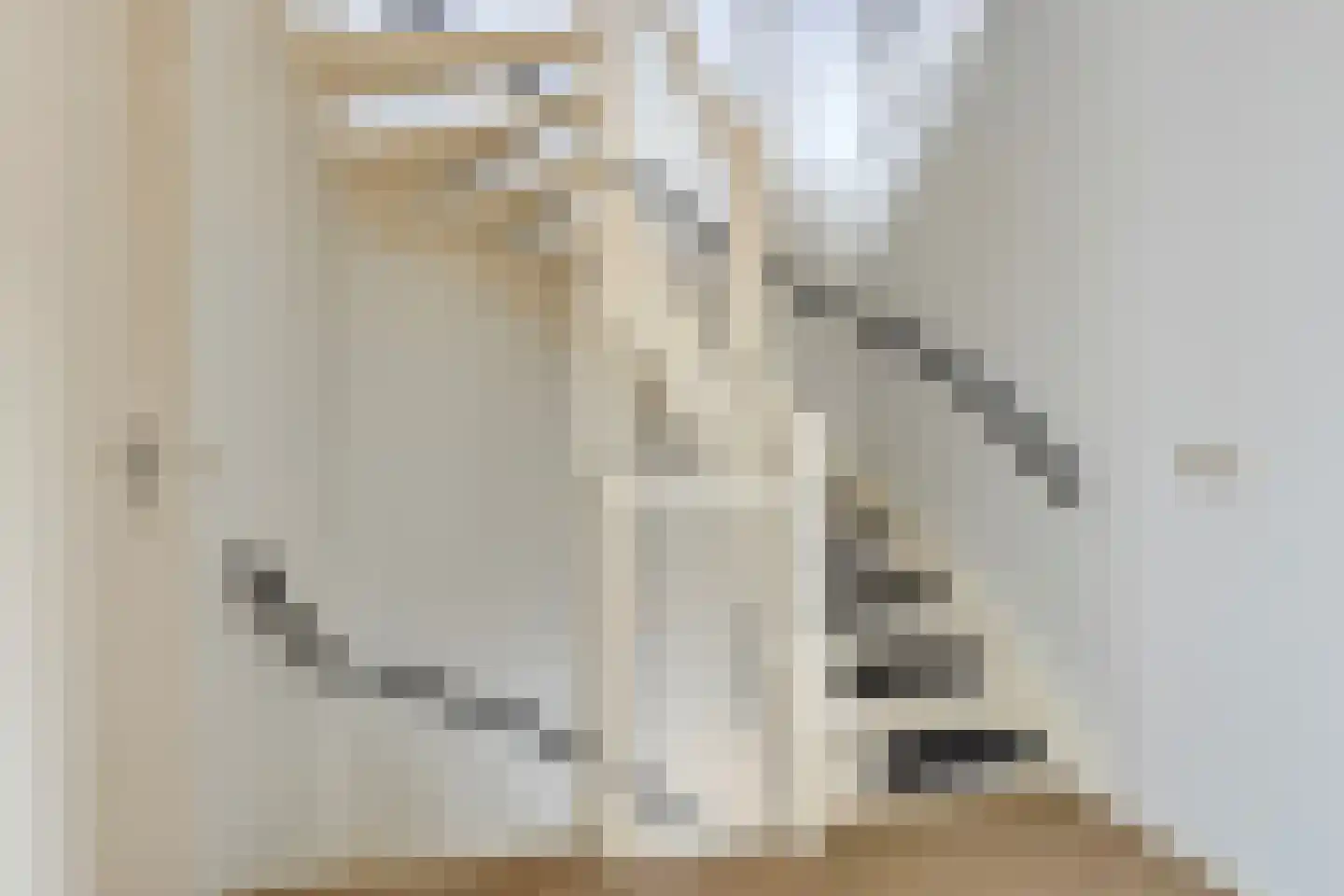 IJsvogel 109 Lichtenvoorde thumbnail 23