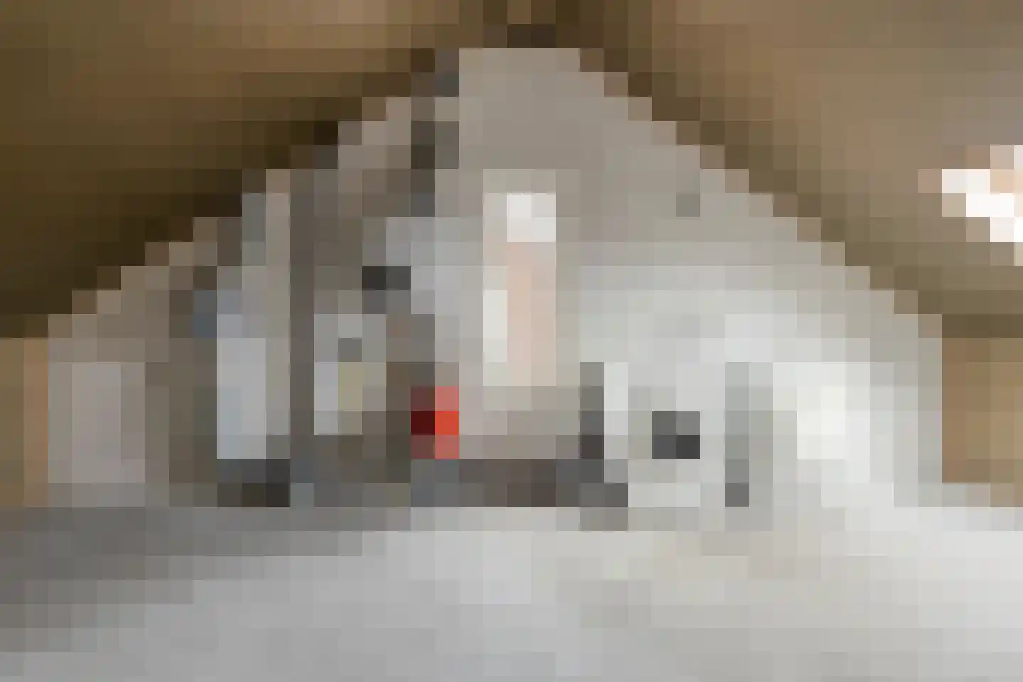 IJsvogel 109 Lichtenvoorde thumbnail 24