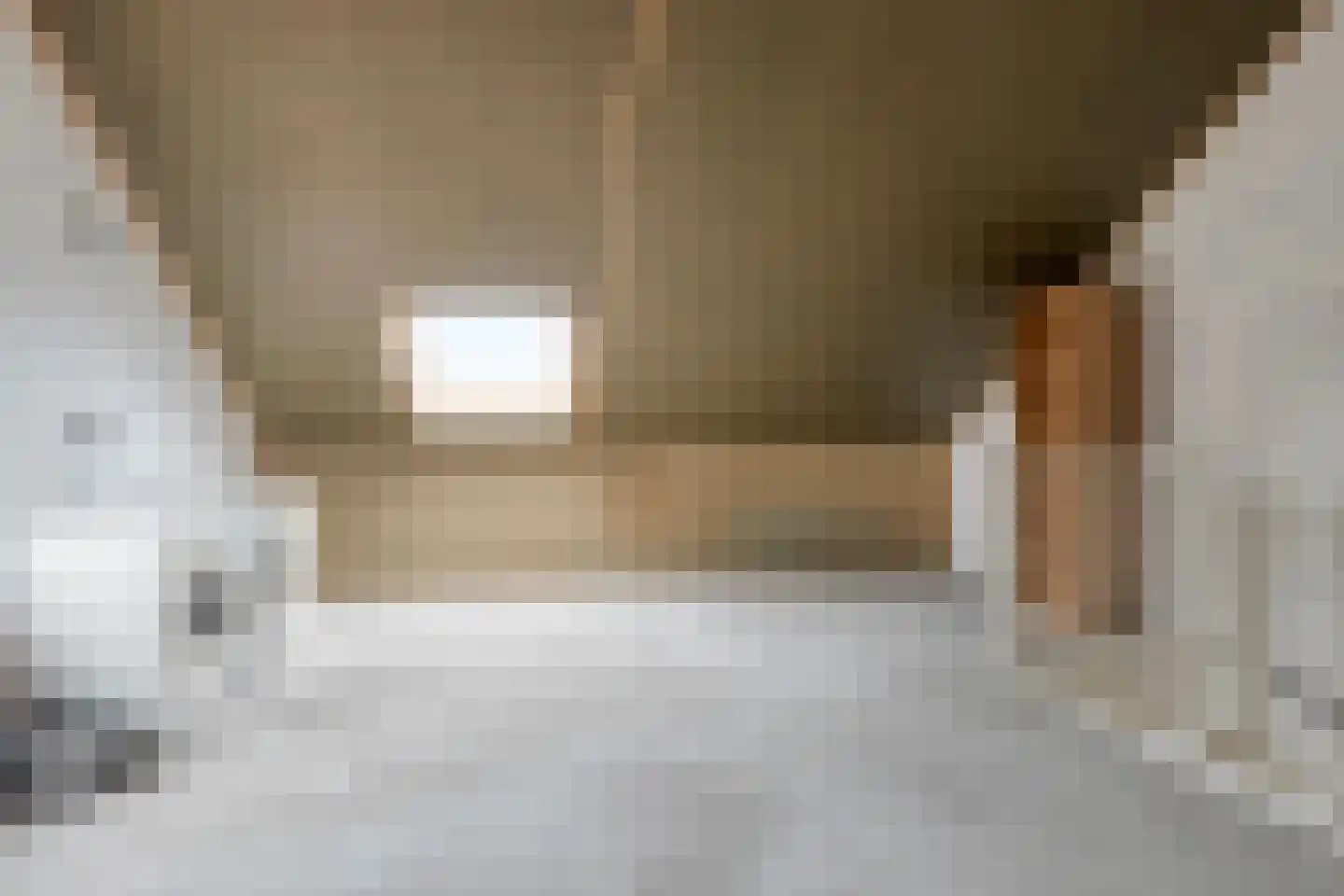 IJsvogel 109 Lichtenvoorde thumbnail 25