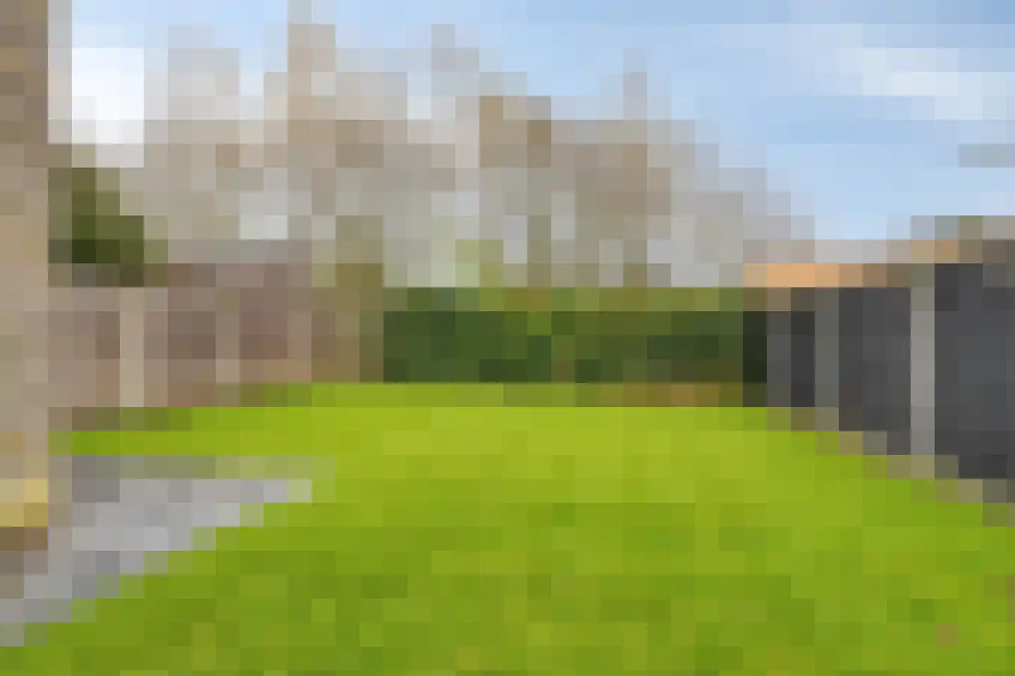 IJsvogel 109 Lichtenvoorde thumbnail 27