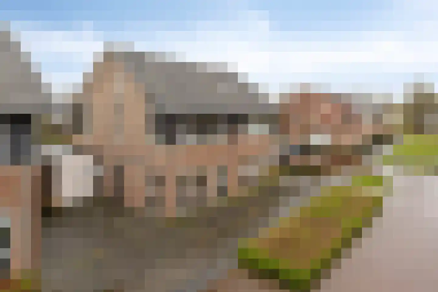 IJsvogel 109 Lichtenvoorde foto 3