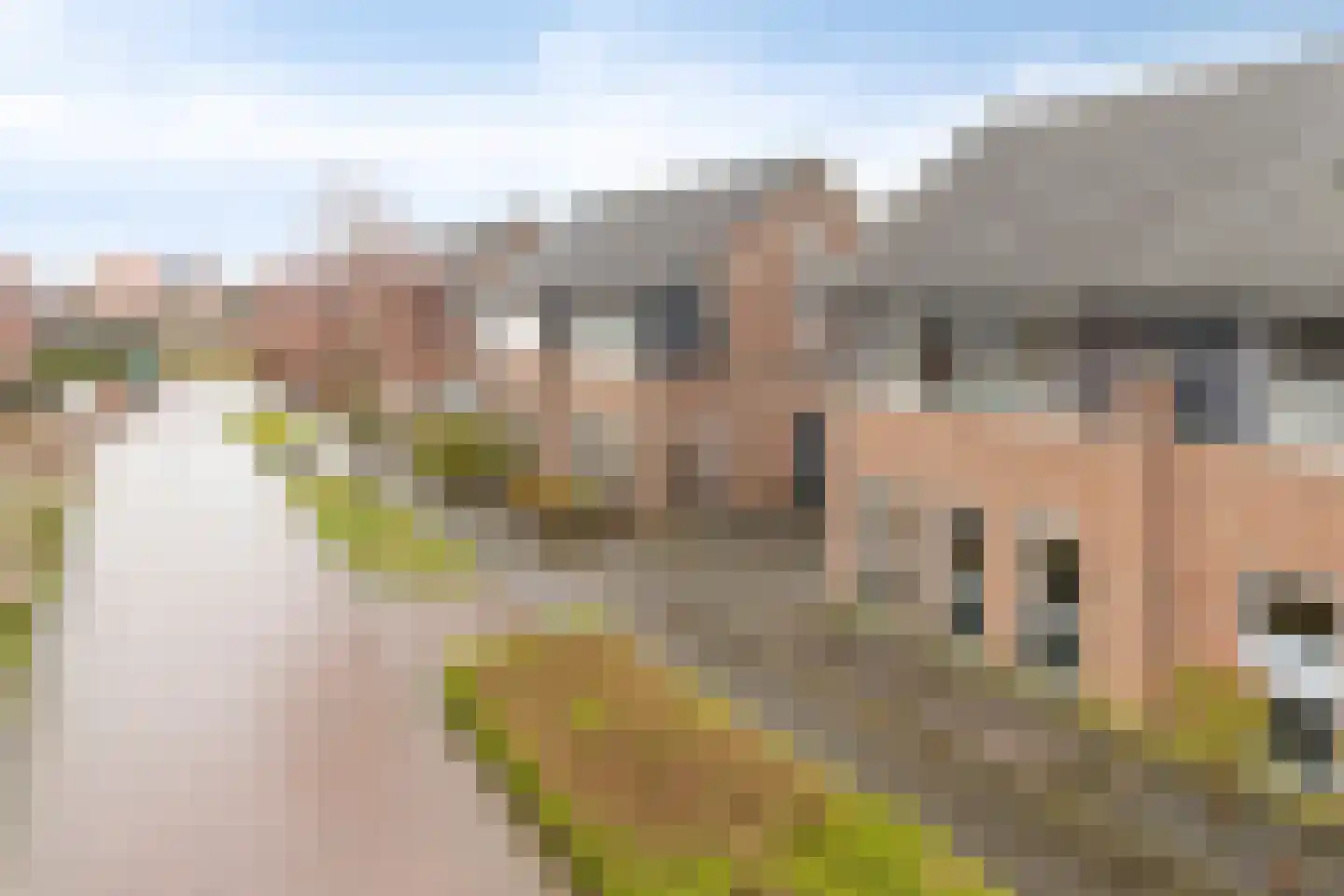 IJsvogel 109 Lichtenvoorde thumbnail 30