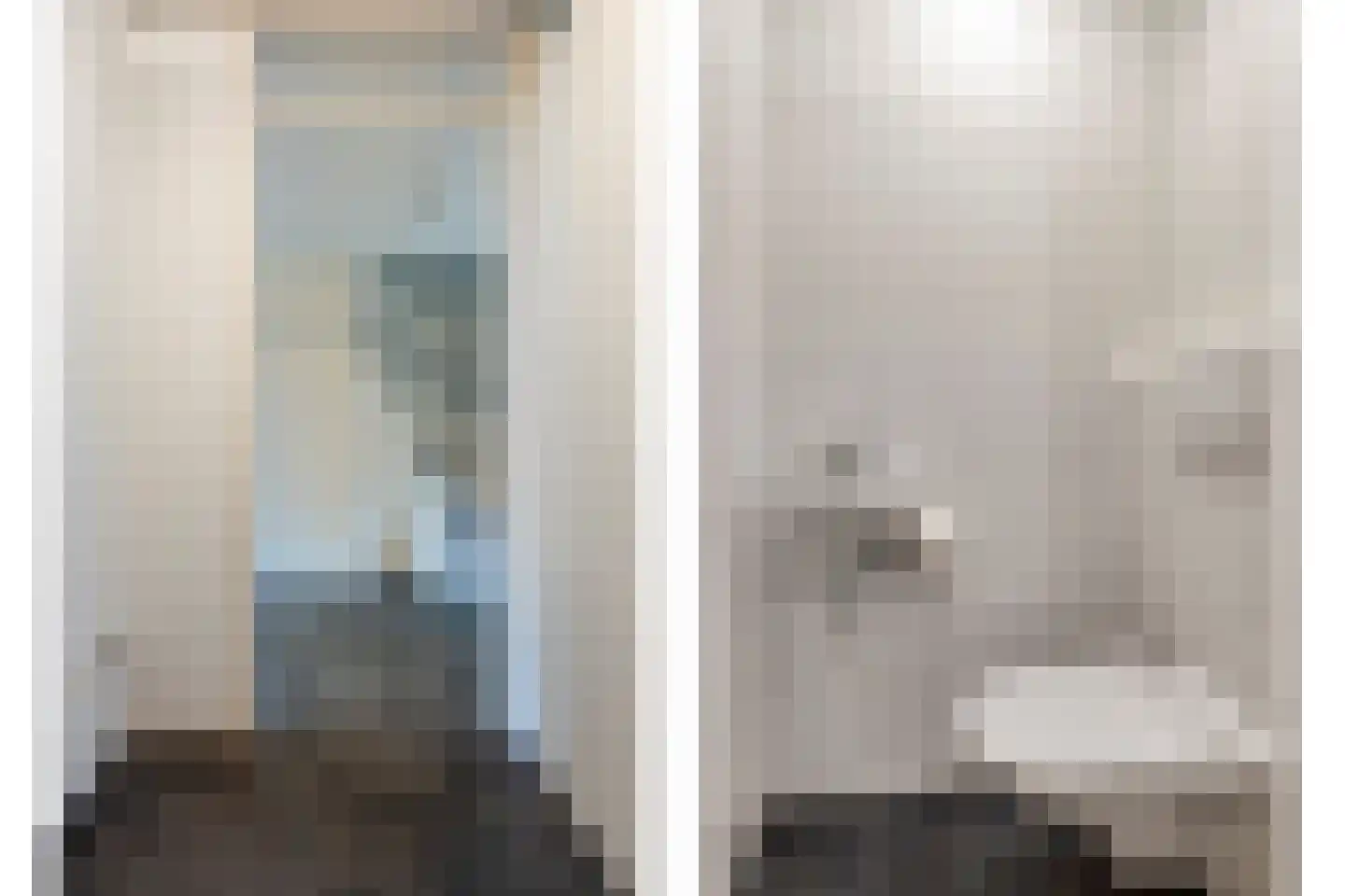 IJsvogel 109 Lichtenvoorde thumbnail 4
