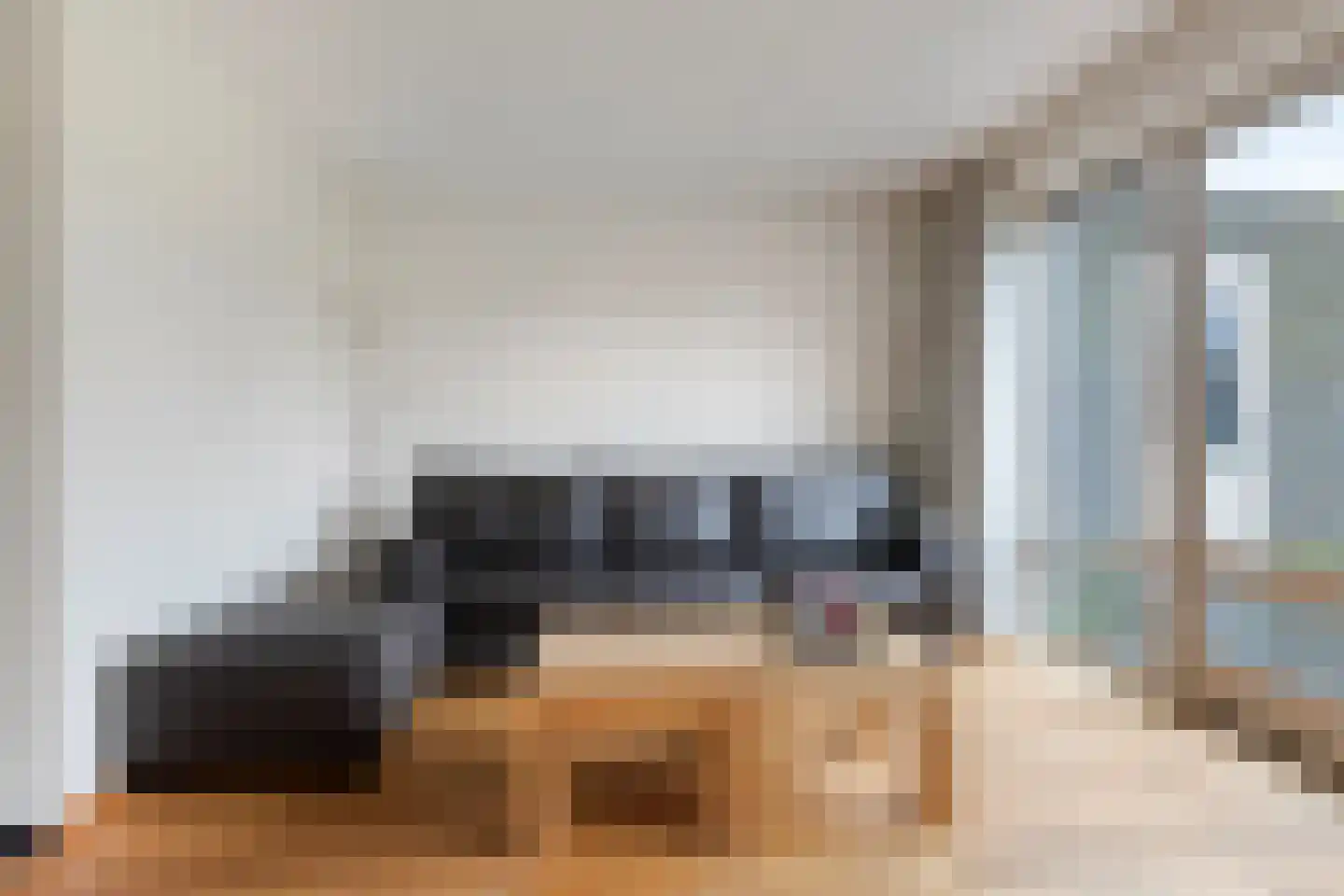 IJsvogel 109 Lichtenvoorde thumbnail 7