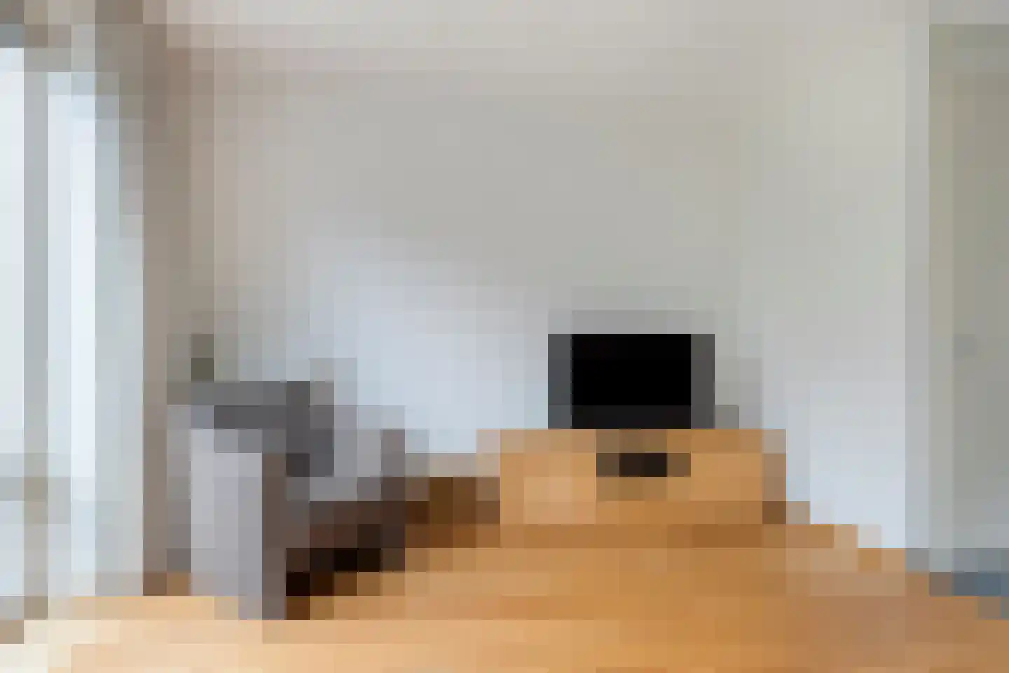 IJsvogel 109 Lichtenvoorde thumbnail 8