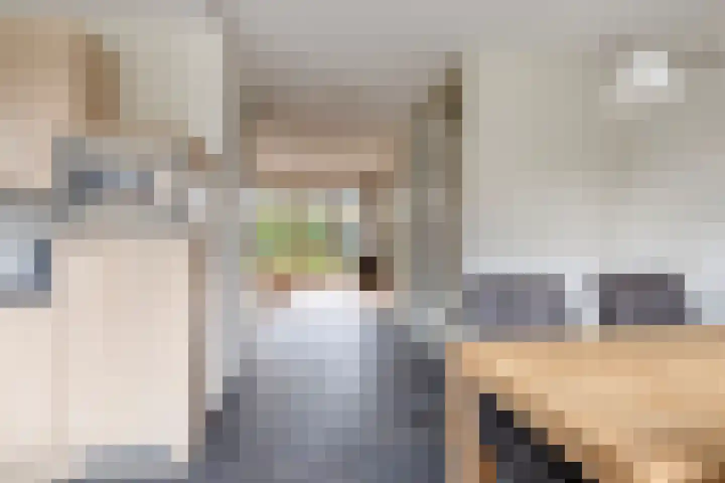 IJsvogel 109 Lichtenvoorde thumbnail 9