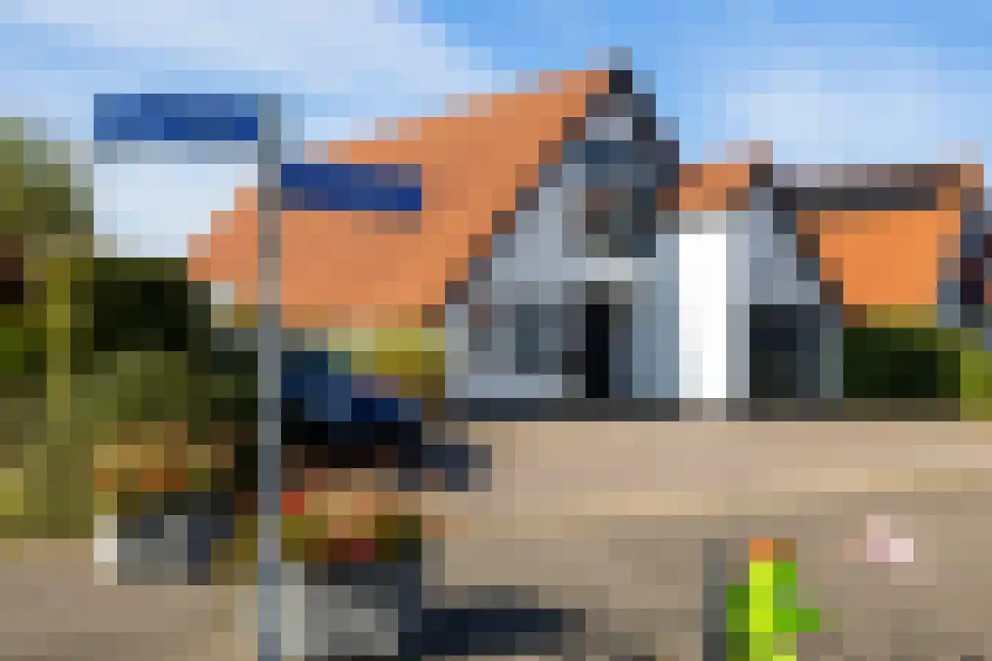 IJsvogel 11 dans Lathum